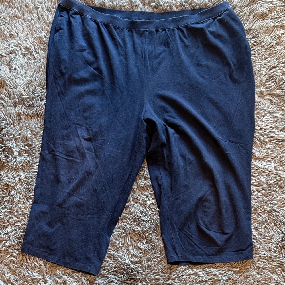 Liz & Me Women's Navy Blue Pants